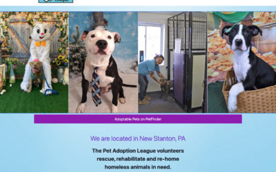 Pet Adoption League